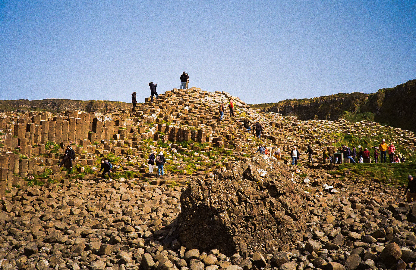 Tourists (2026)